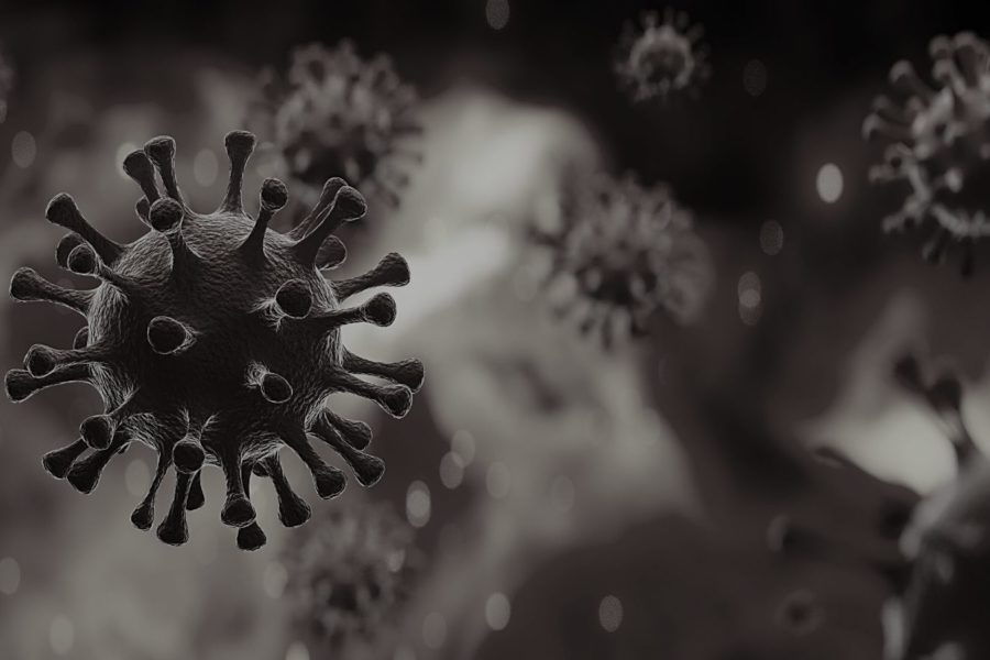 corona virus
